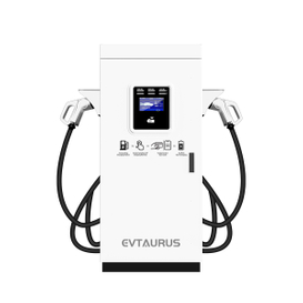 80KW 180KW 240KW DC Fast Commercial EV Charging Station avec pistolet unique CCS2 pour un usage commercial