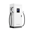 Station de recharge Fast EV 120KW DC avec pistolet Double CCS2 et pour un projet commercial
